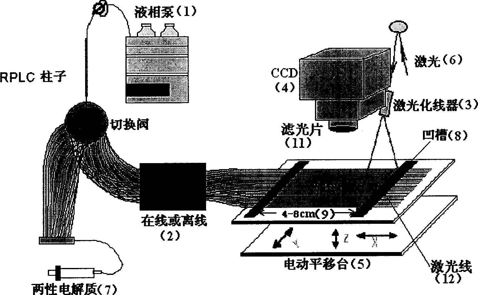 Multi-chromaticity-electrophoresis separating and detecting system based on array capillary electrofocasing