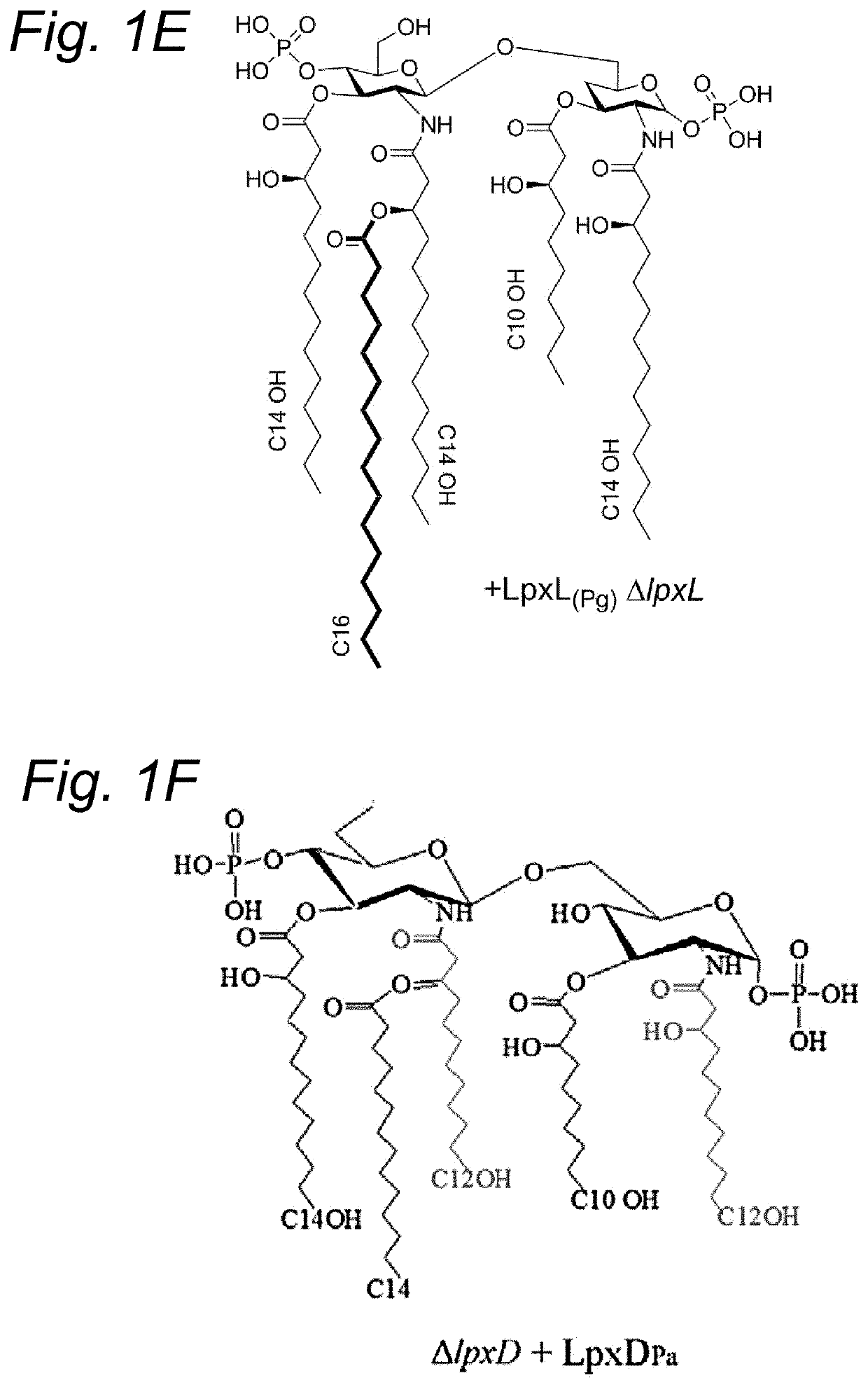 Bordetella vaccines comprising LPS with reduced reactogenicity