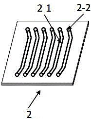 Rapid aflatoxin B1 detecting method based on smartphone detecting system