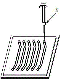 Rapid aflatoxin B1 detecting method based on smartphone detecting system