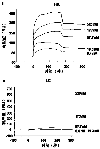 A lipopolysaccharide-binding protein polypeptide and its pharmaceutical use