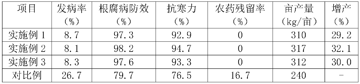 Preparation for preventing and controlling root rot of Wen codonopsis pilosula and preparation method of preparation