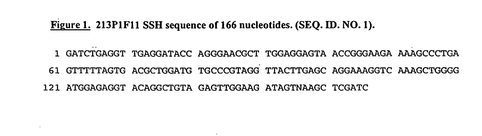 Nucleic acid and corresponding protein entitled 213P1F11 useful in treatment and detection of cancer