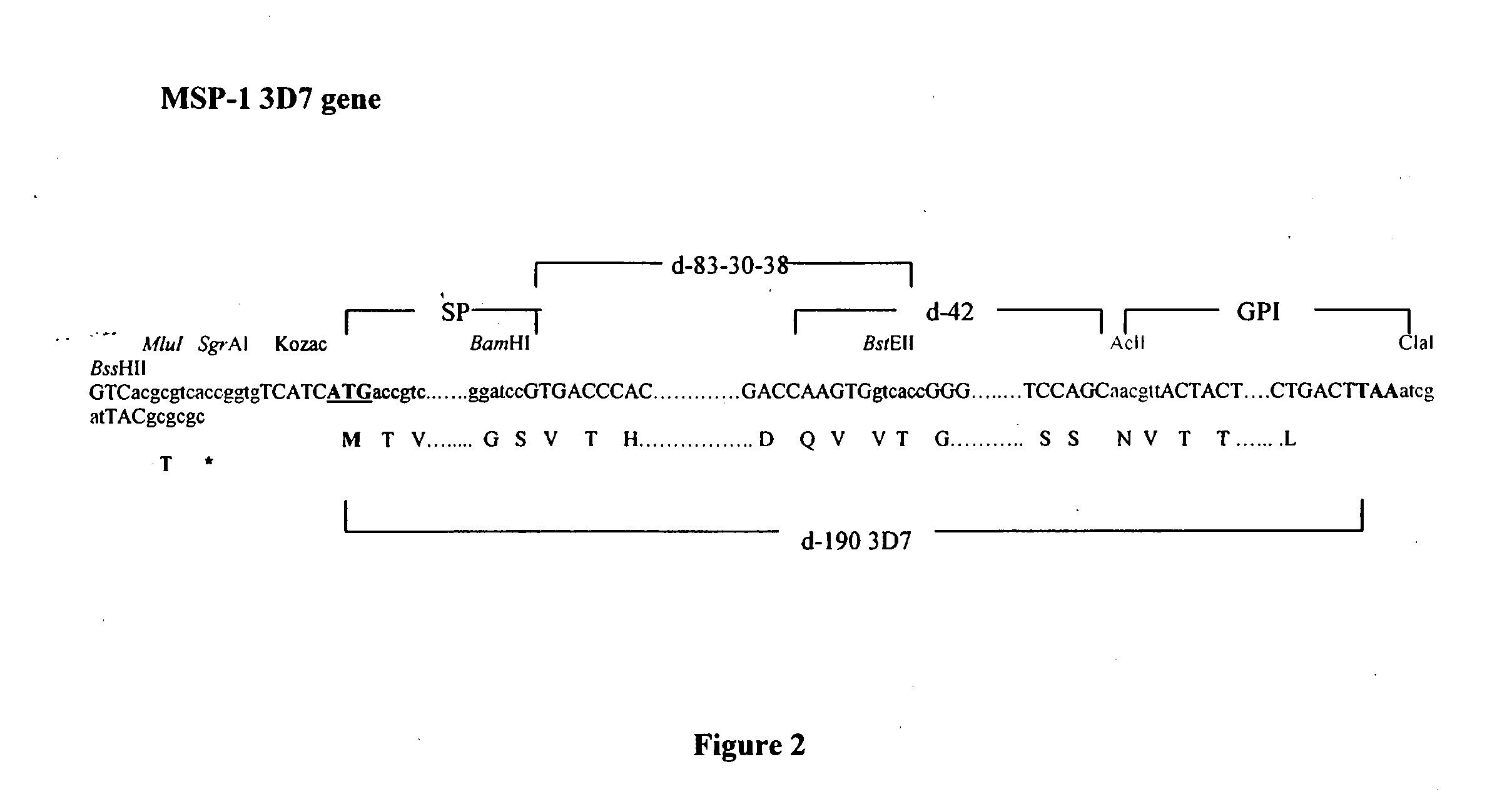 Combined measles-malaria vaccine