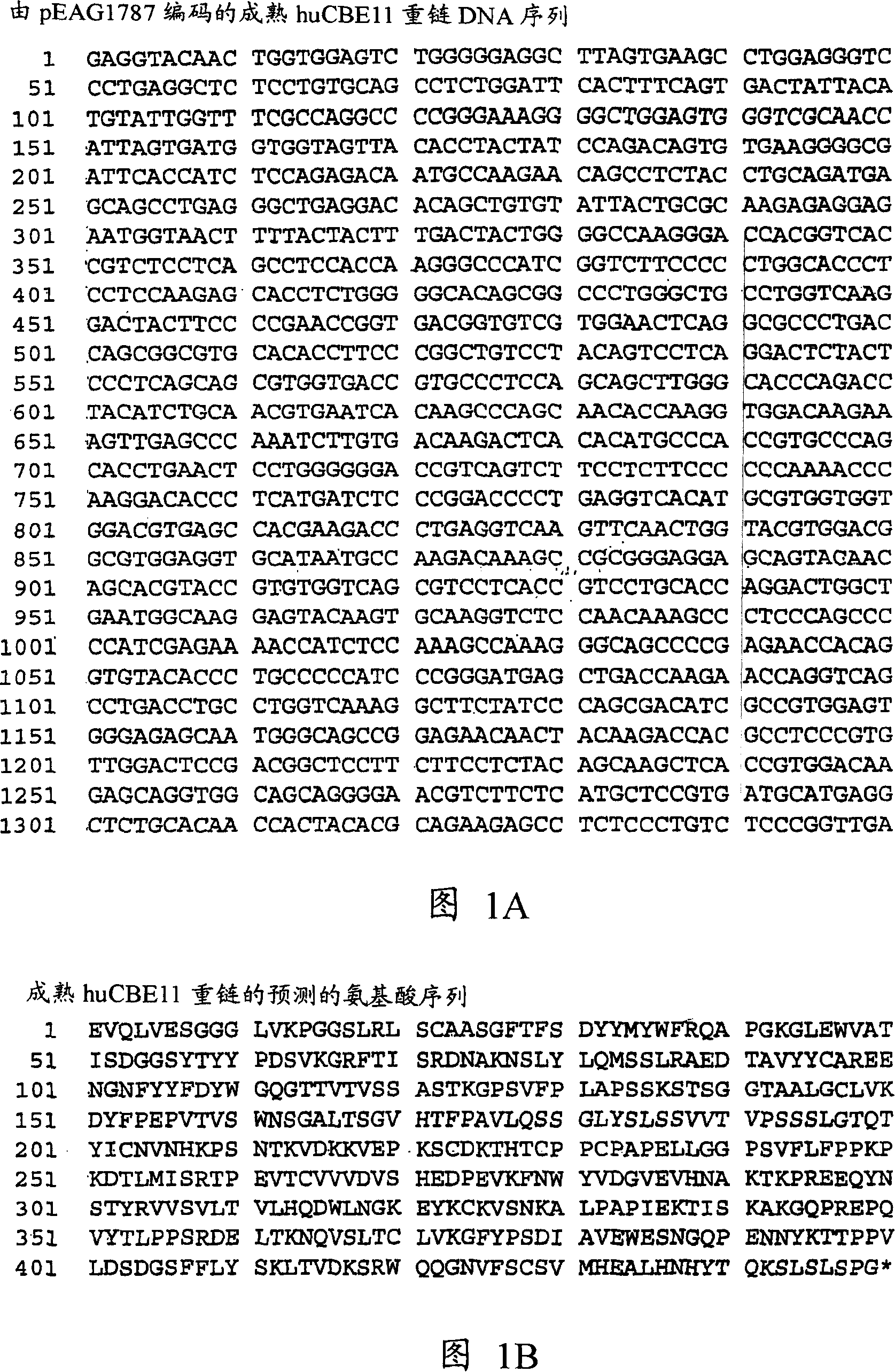 Neonatal Fc receptor (FcRn)-binding polypeptide variants, dimeric Fc binding proteins and methods related thereto