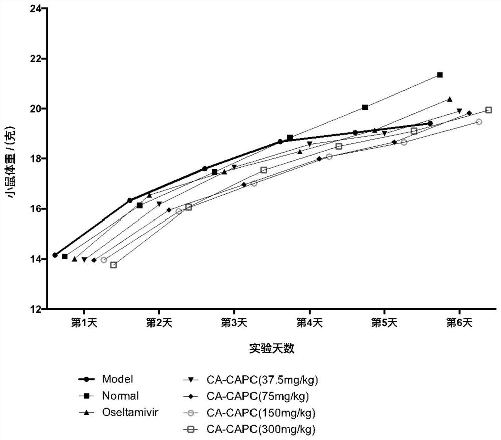 Application of pharmaceutical composition containing chlorogenic acid in preparation of antiviral drugs