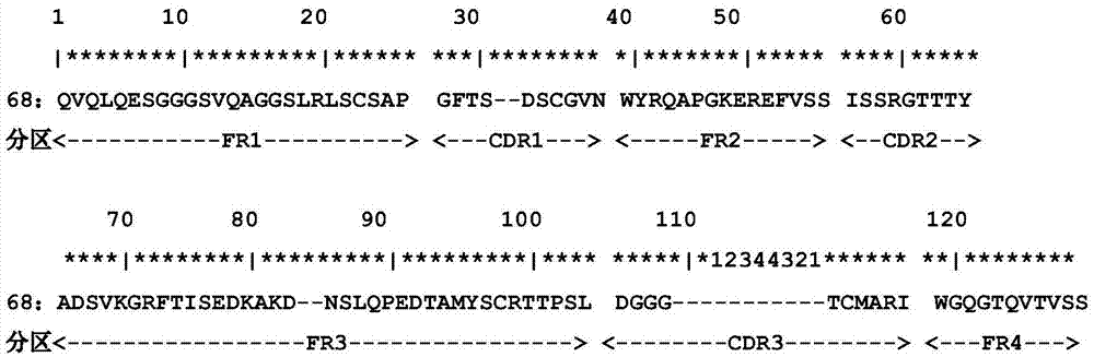 CD105 nano antibody Nb68