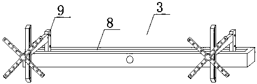 Garden plant spraying and watering device