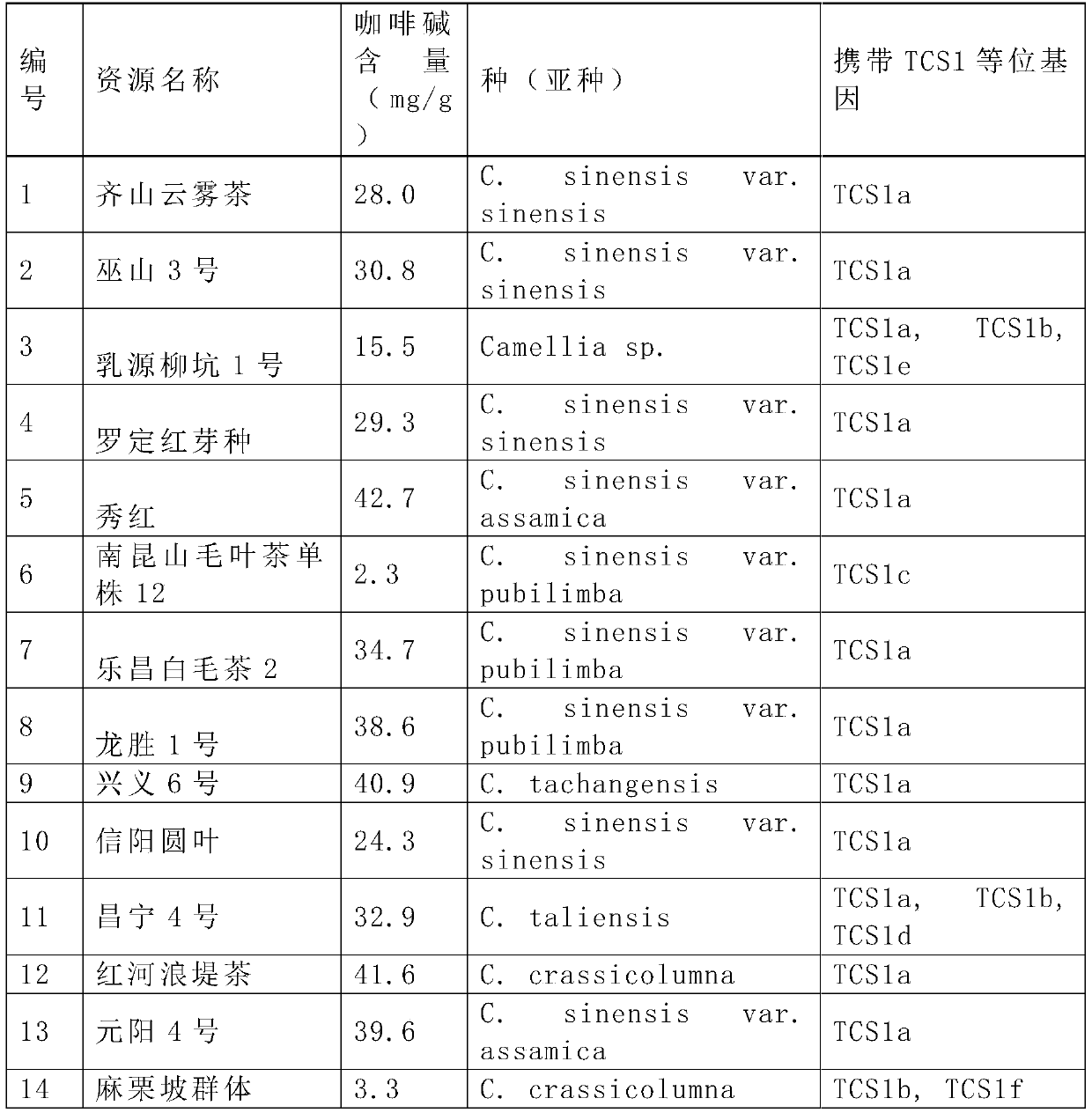 Specific primer pair, allele and molecular marker for screening thea section with low caffeine trait and screening method