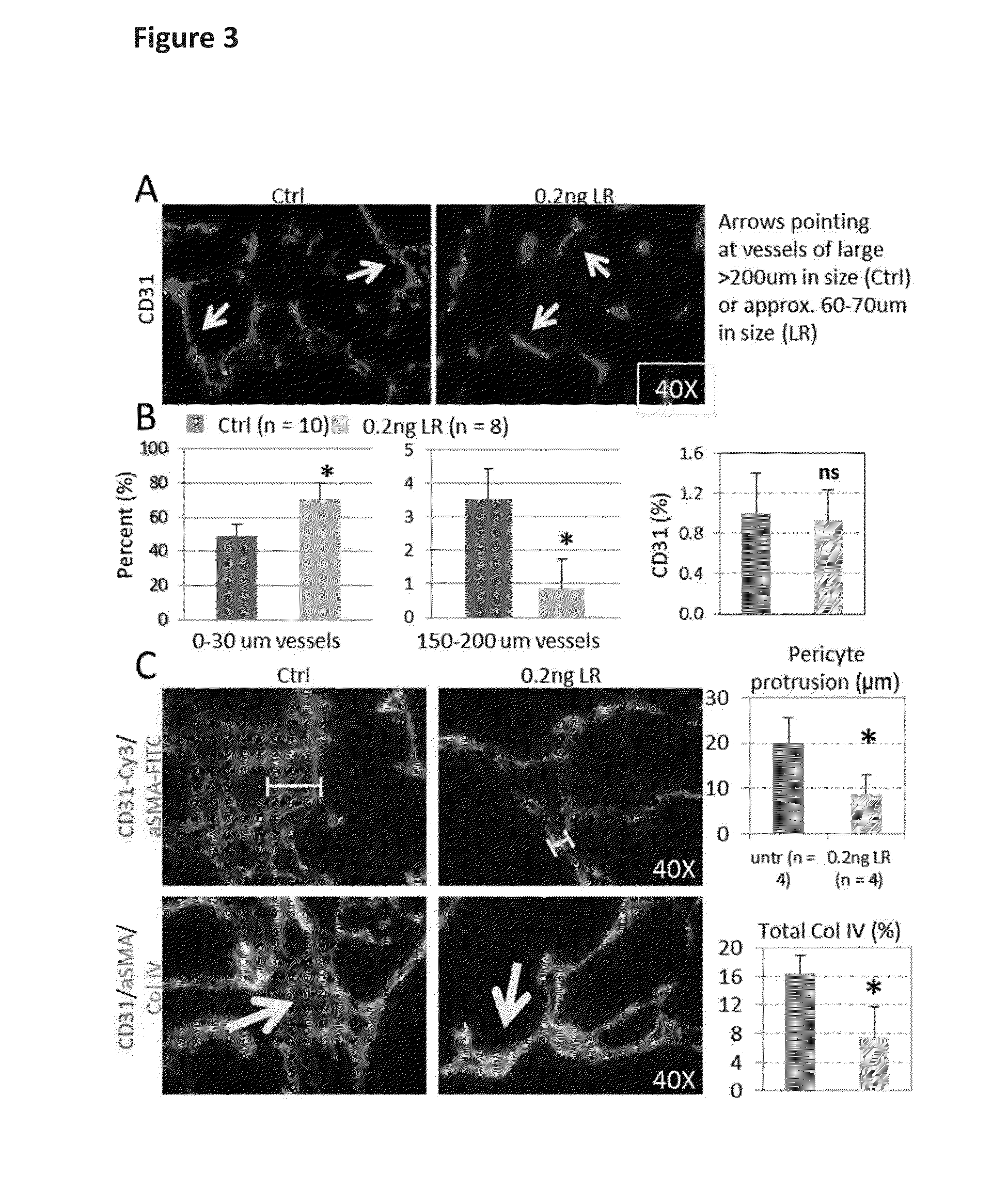 Treatment of tumours using peptide-protein conjugates