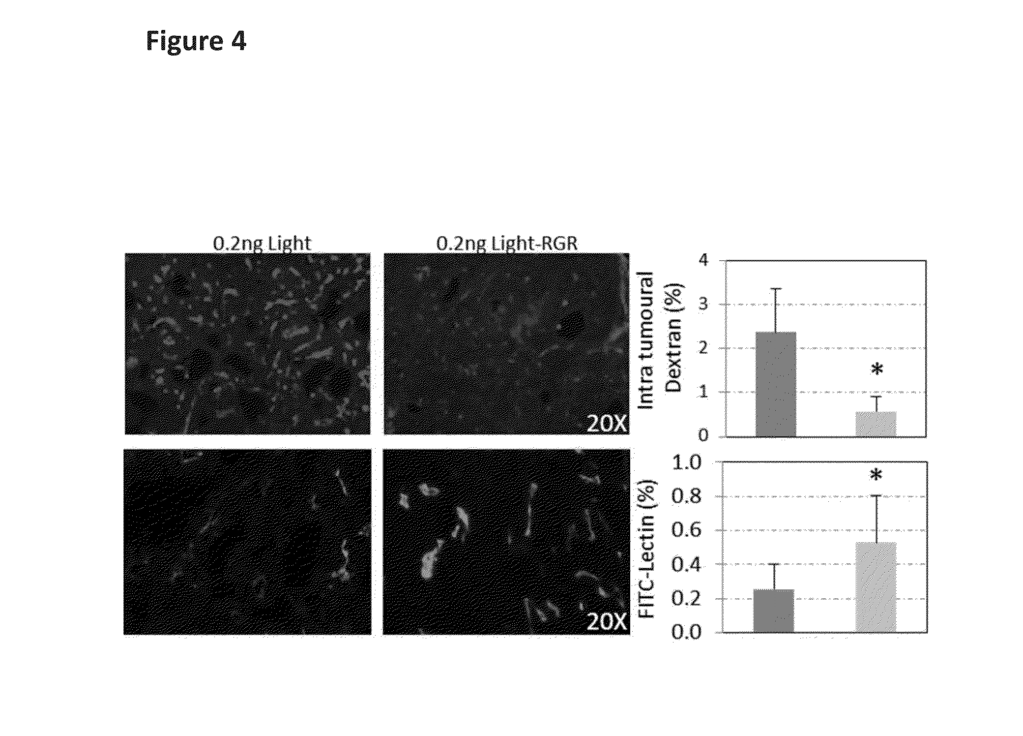 Treatment of tumours using peptide-protein conjugates