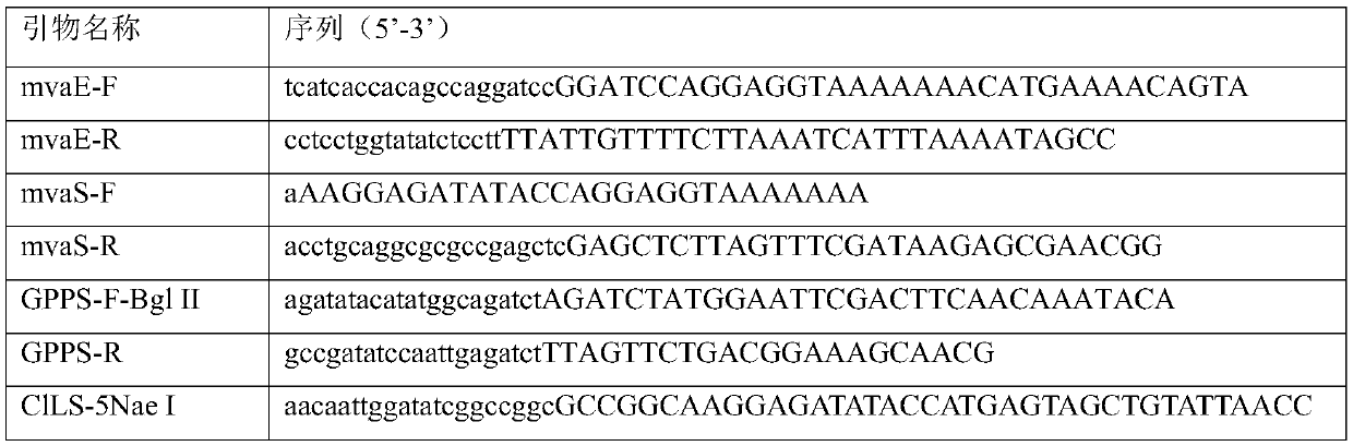 Genetically engineered bacterium producing R-(+)-perillyl alcohol, and construction method and application of genetically engineered bacterium