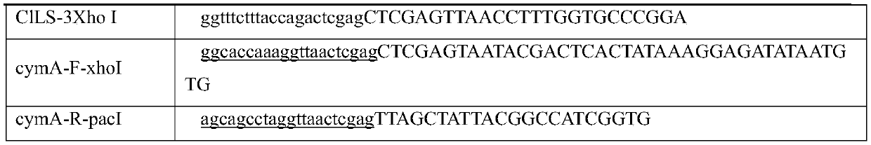 Genetically engineered bacterium producing R-(+)-perillyl alcohol, and construction method and application of genetically engineered bacterium