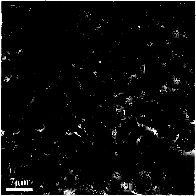 Barium zirconate titanate-potassium sodium niobate piezoelectric ceramics and preparation method thereof