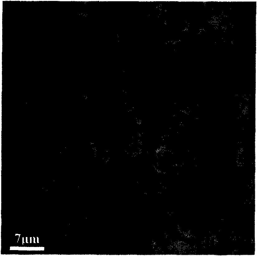 Barium zirconate titanate-potassium sodium niobate piezoelectric ceramics and preparation method thereof