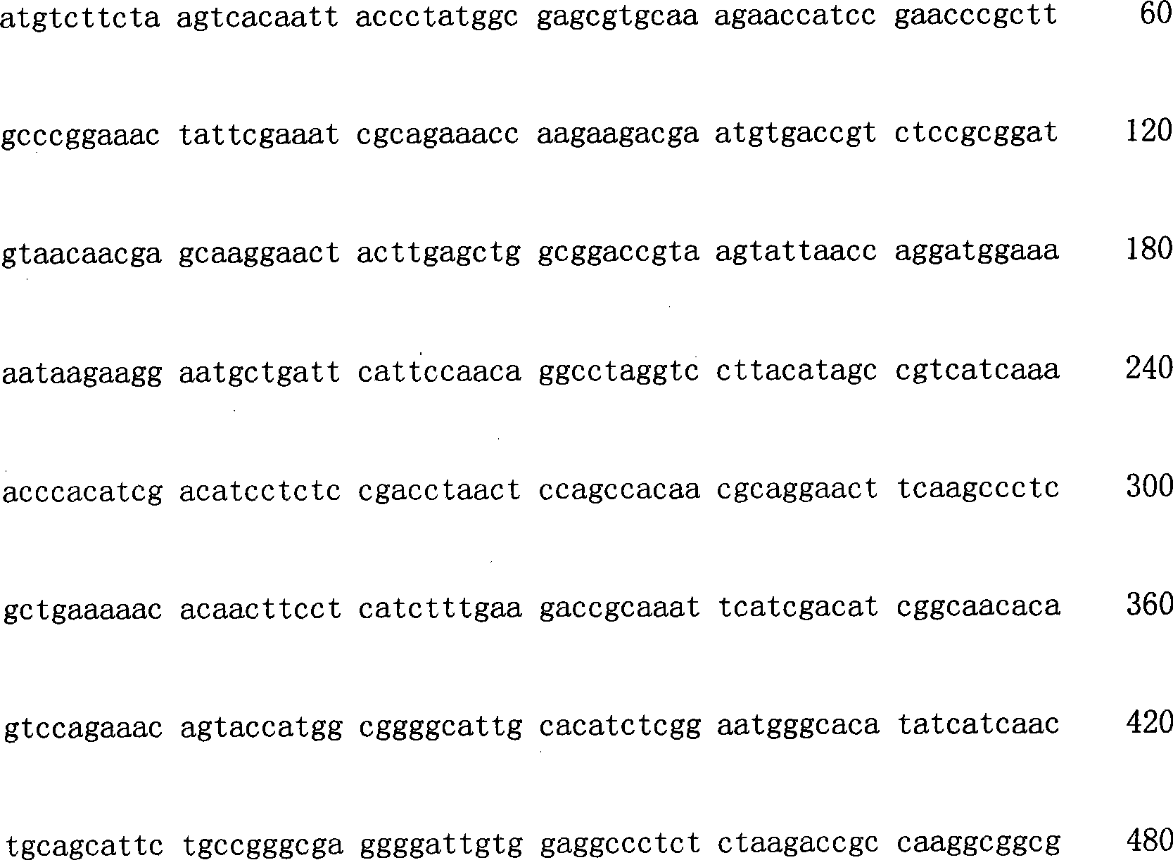 Monascus purpureus orotic acid-5'-phosphate decarboxylase gene and uses thereof