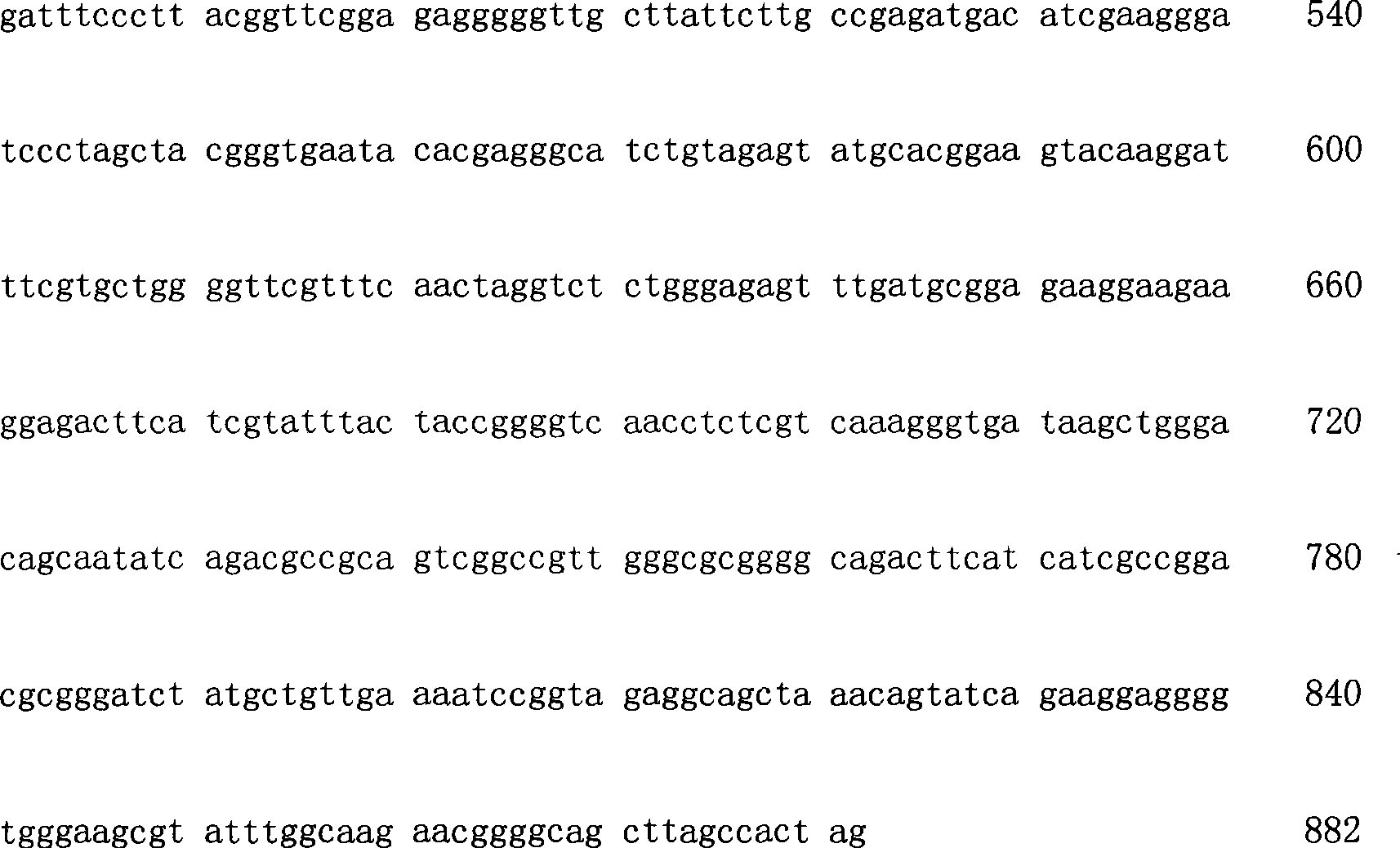 Monascus purpureus orotic acid-5'-phosphate decarboxylase gene and uses thereof