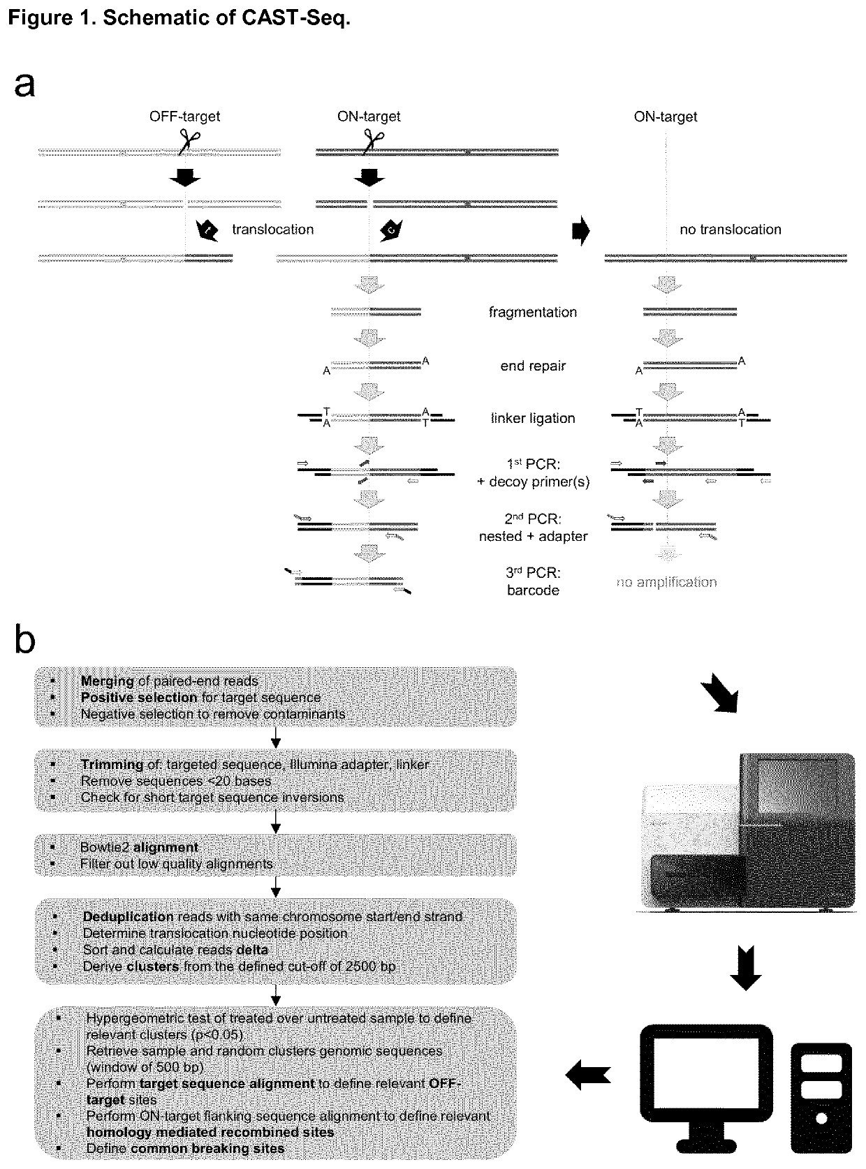 Method for characterization of modifications caused by the use of designer nucleases