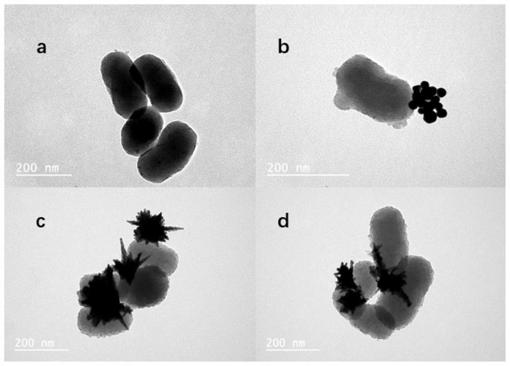 Near-infrared II region controlled-release nitric oxide nano carrier material as well as preparation method and application thereof