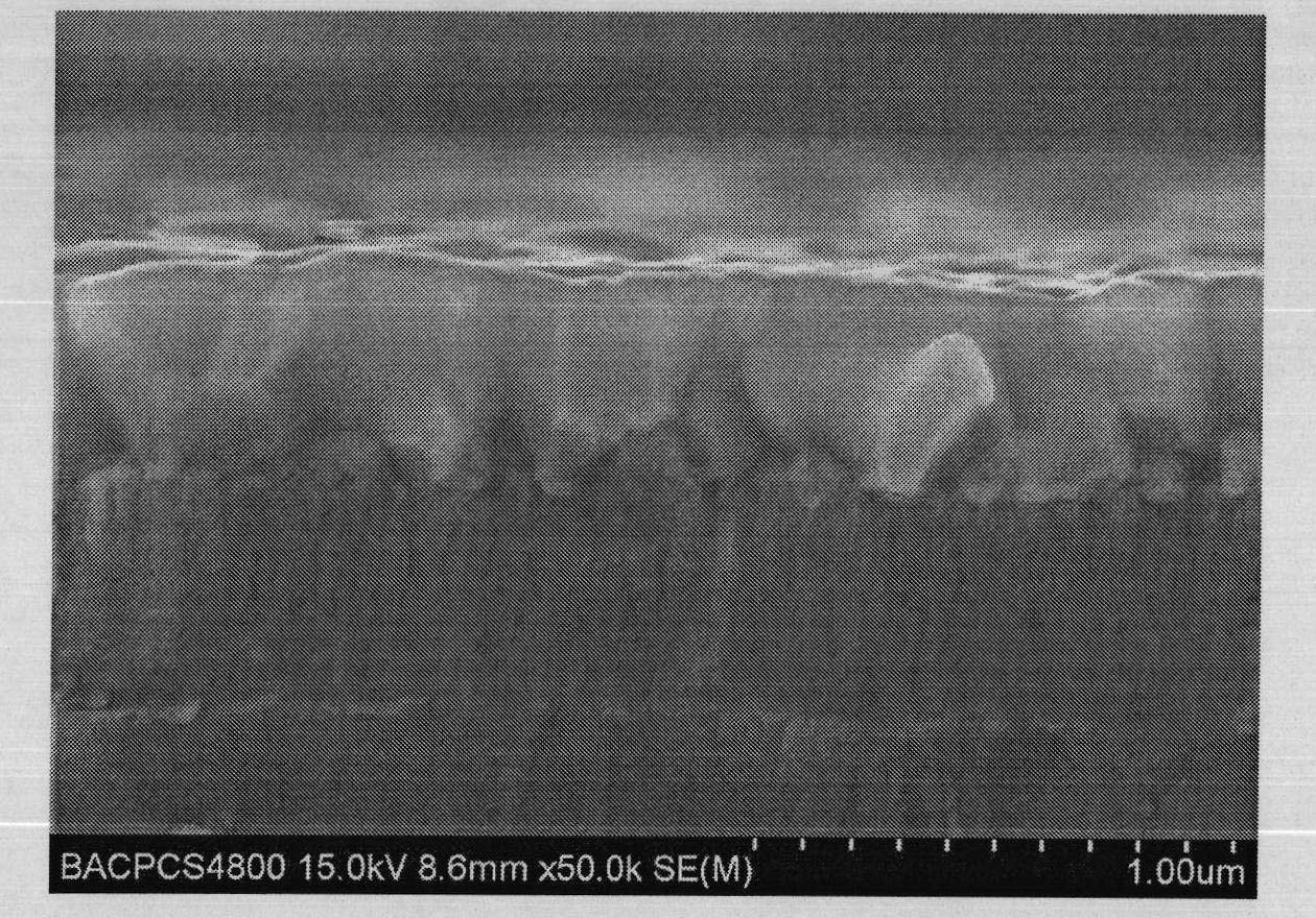 Method for preparing highly (100) oriented BiFeO3 films on Si substrate