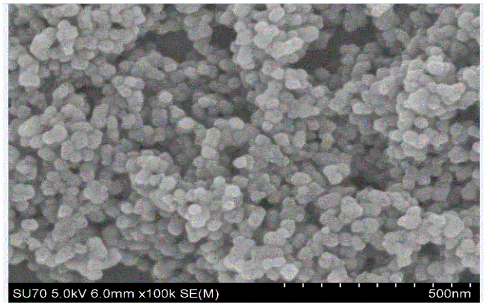 Enzyme-linked immunosorbent assay (ELISA) detection kit for detecting ractopamine as well as preparation method and application of detection kit