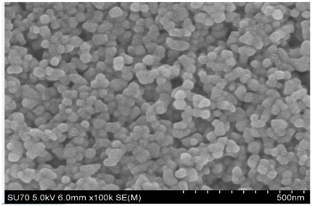 Enzyme-linked immunosorbent assay (ELISA) detection kit for detecting ractopamine as well as preparation method and application of detection kit