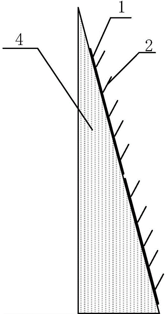 Large-gradient rocky slope caring structure based on inclined vegetation plates