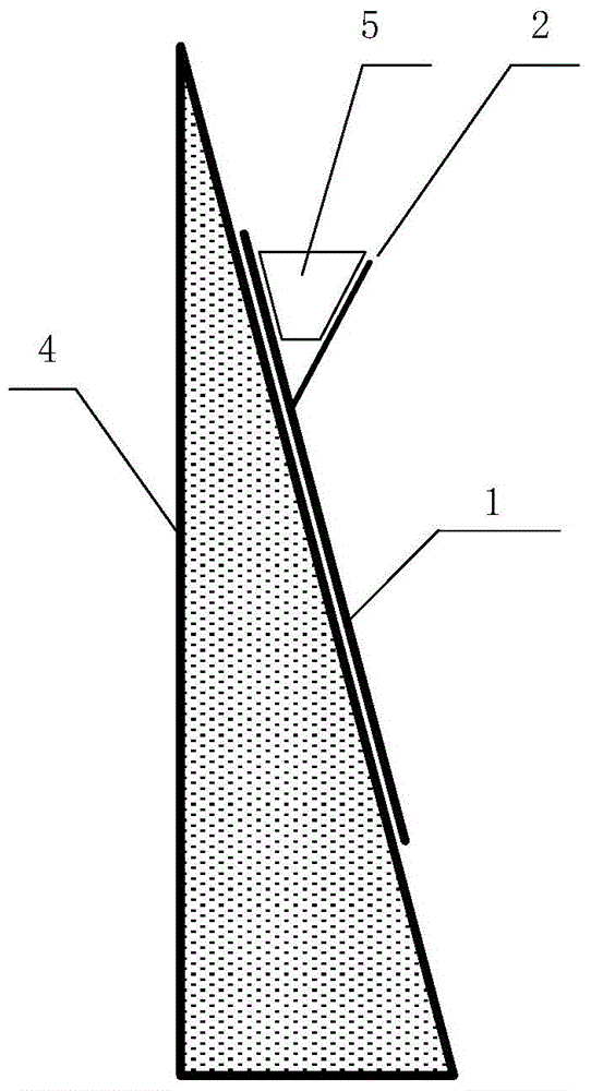 Large-gradient rocky slope caring structure based on inclined vegetation plates