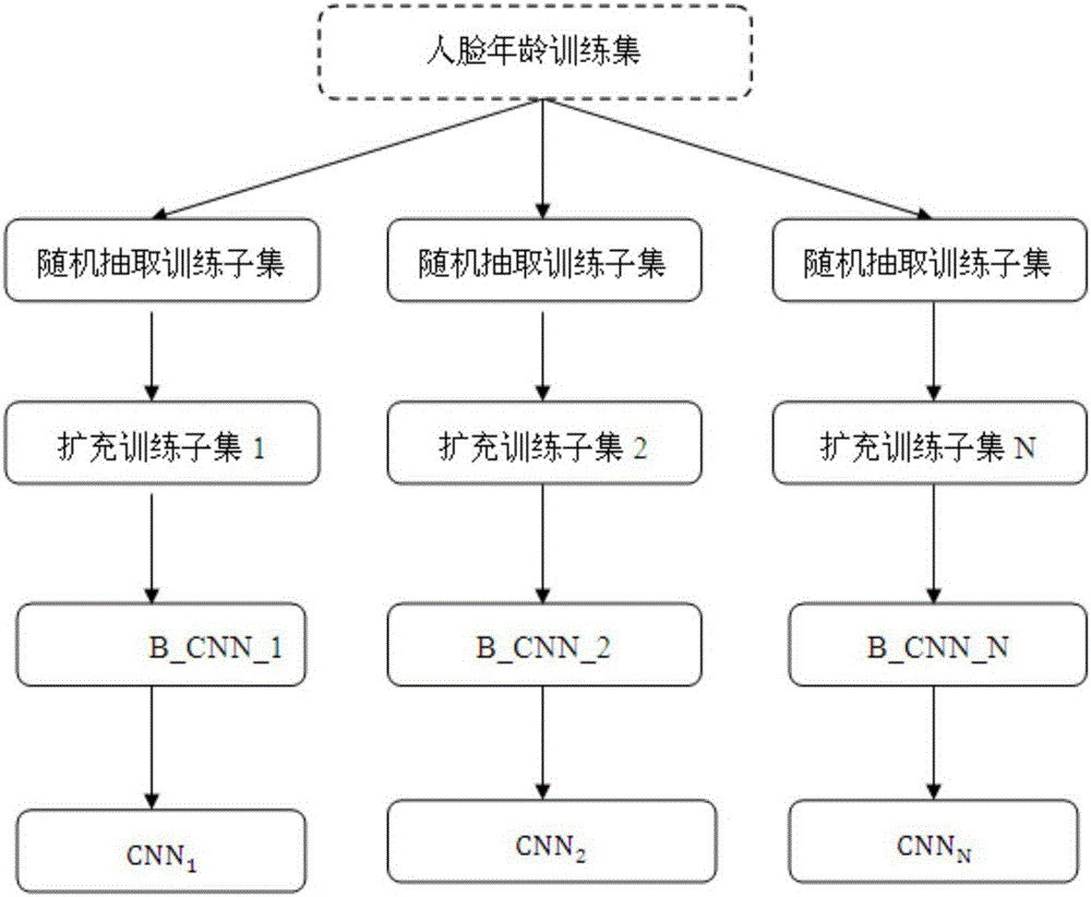 Age identification method based on integrated convolution neural network