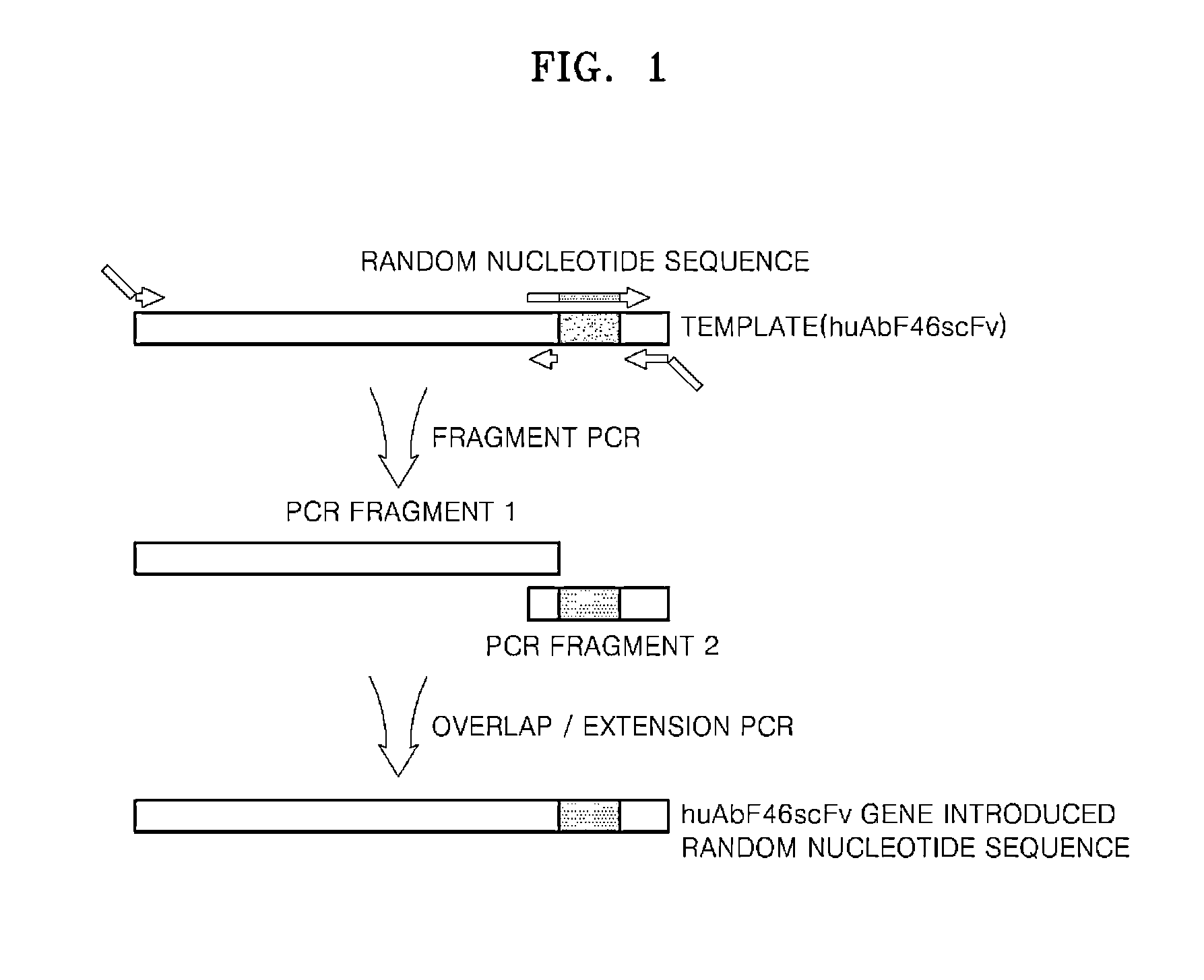 Antibody specifically binding to epitope in SEMA domain of c-Met