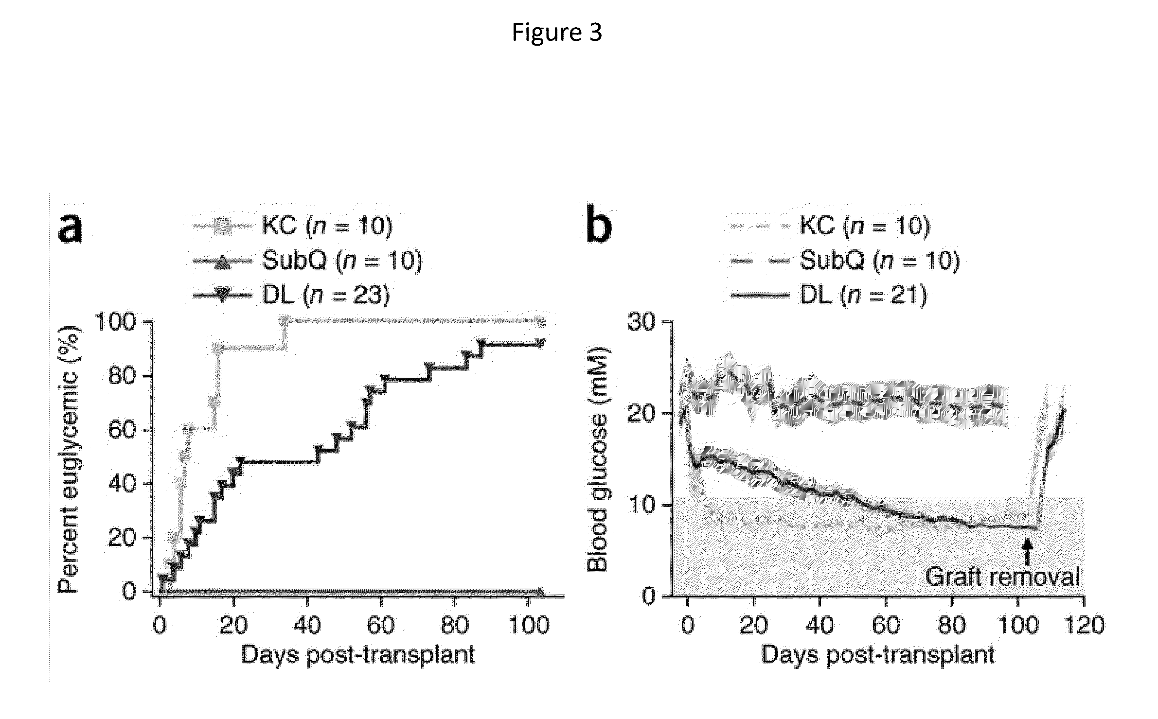 Cellular transplant site