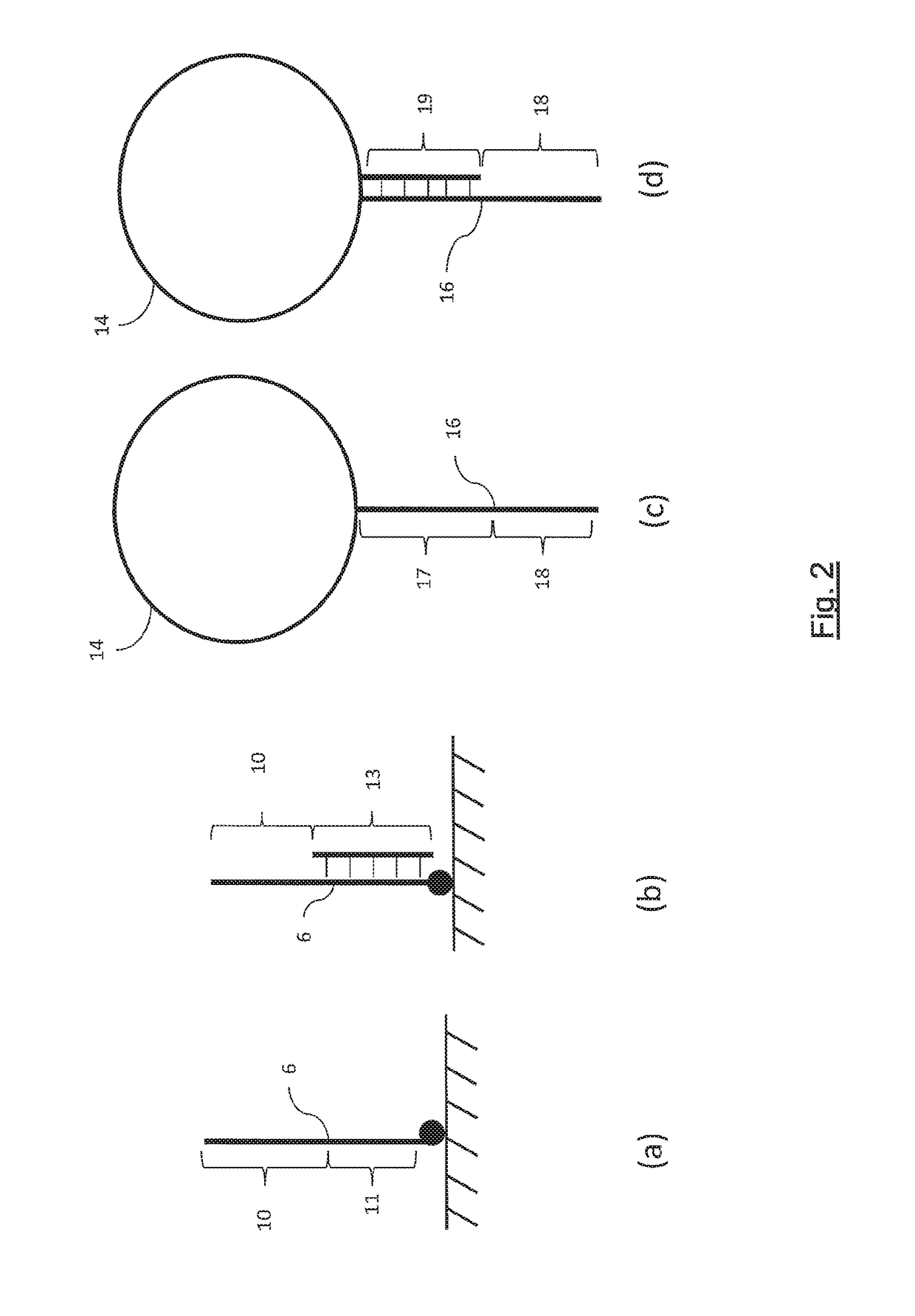 Measurement of Analyte with an Acoustic Wave Sensor