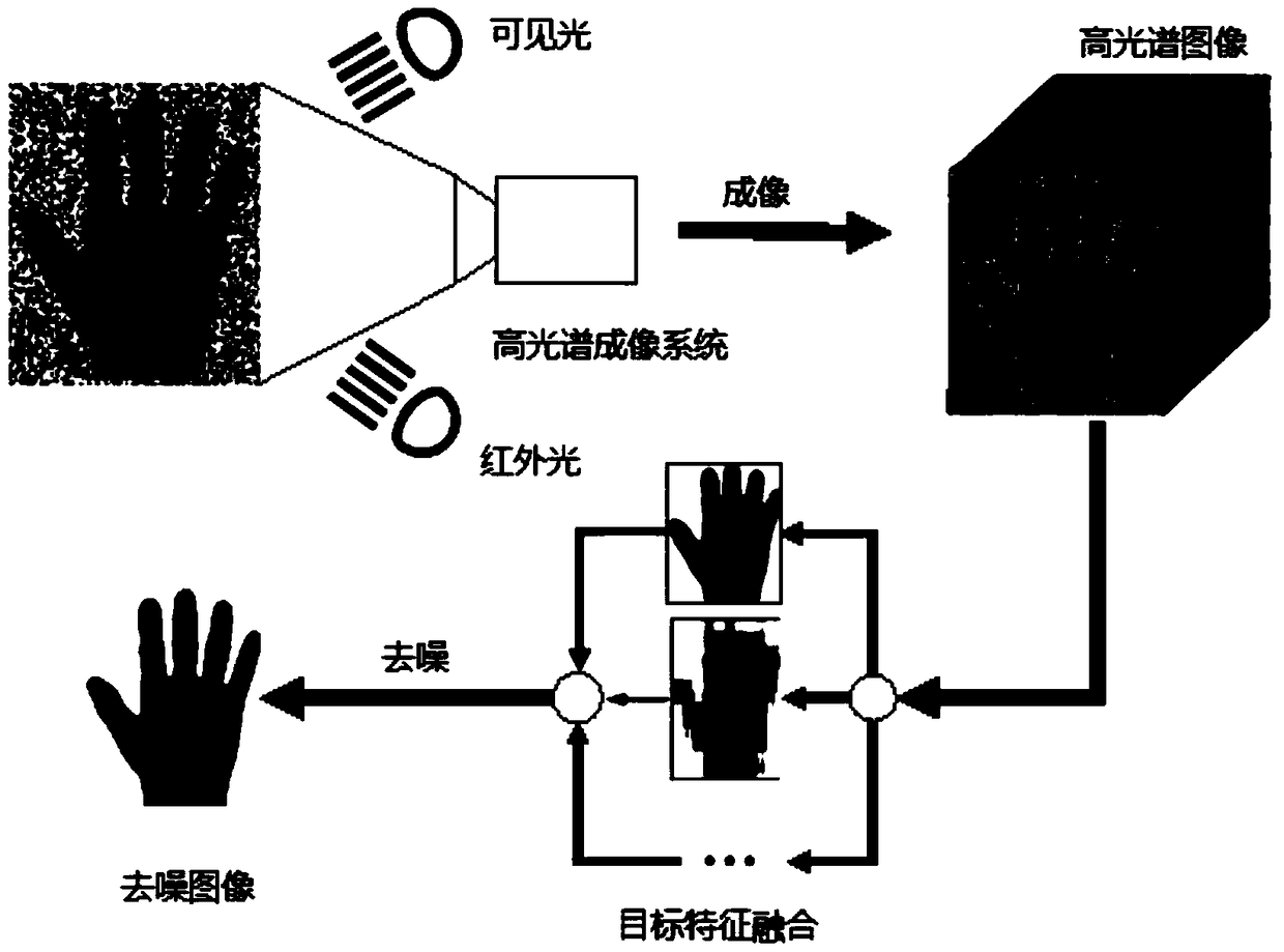 Gesture recognition method and device based on hyperspectral imaging