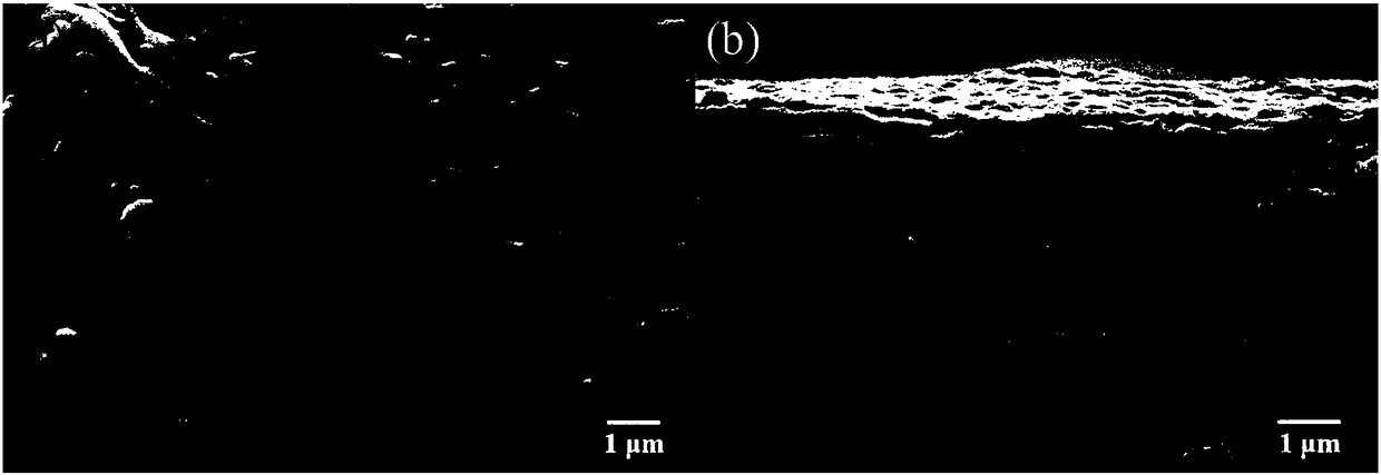 Graphene oxide/polyacrylamide composite filtering thin film as well as preparation and application thereof