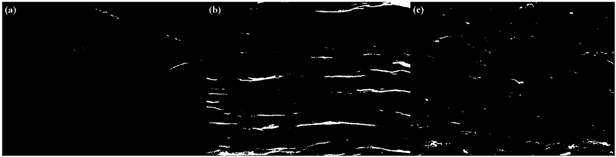 Graphene oxide/polyacrylamide composite filtering thin film as well as preparation and application thereof