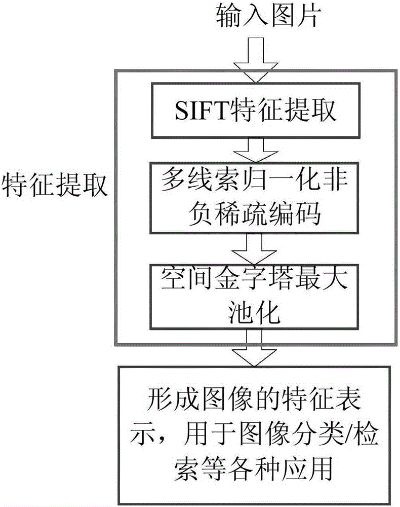 Multi-thread normalized non-negative sparse encoder based method for rapid feature representation of image