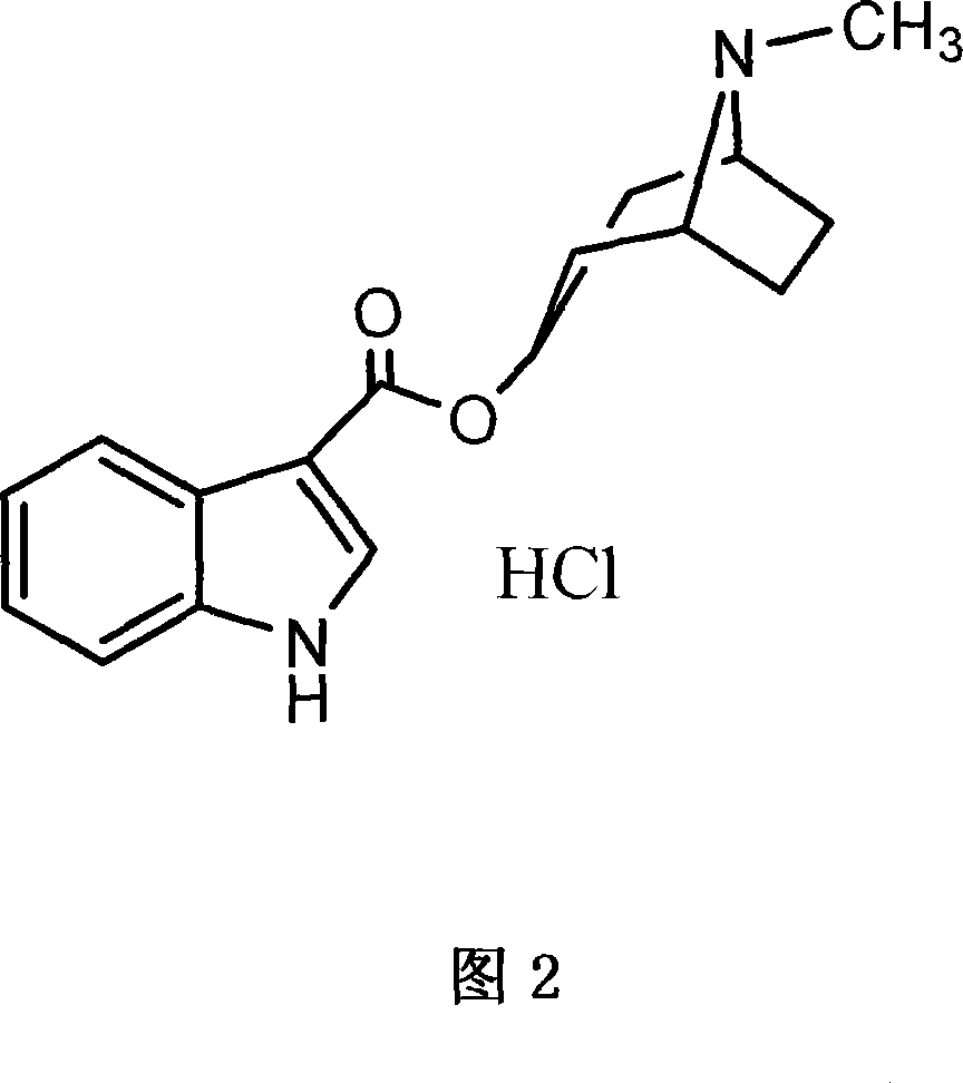 Process of preparing troipisetron