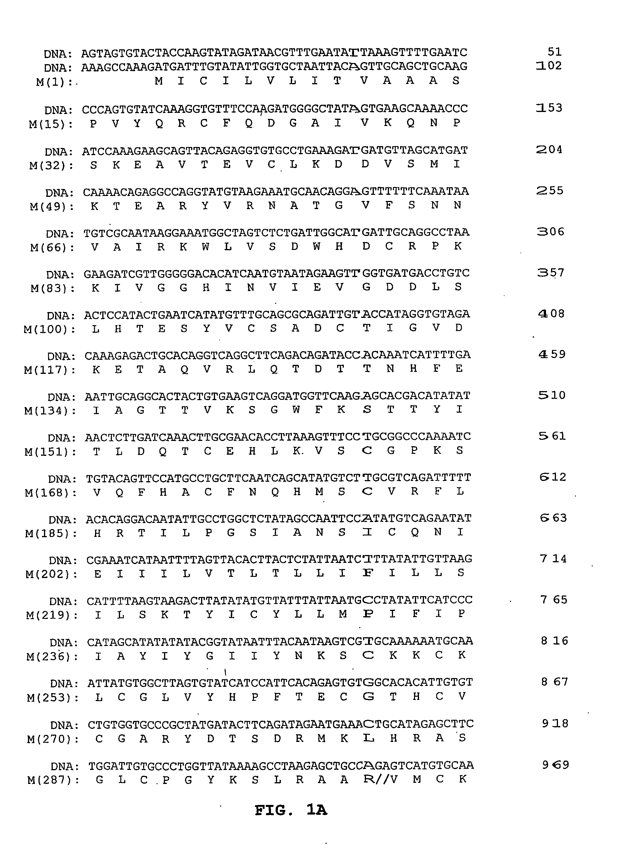 Methods and reagents for treating, preventing and diagnosing bunyavirus infection