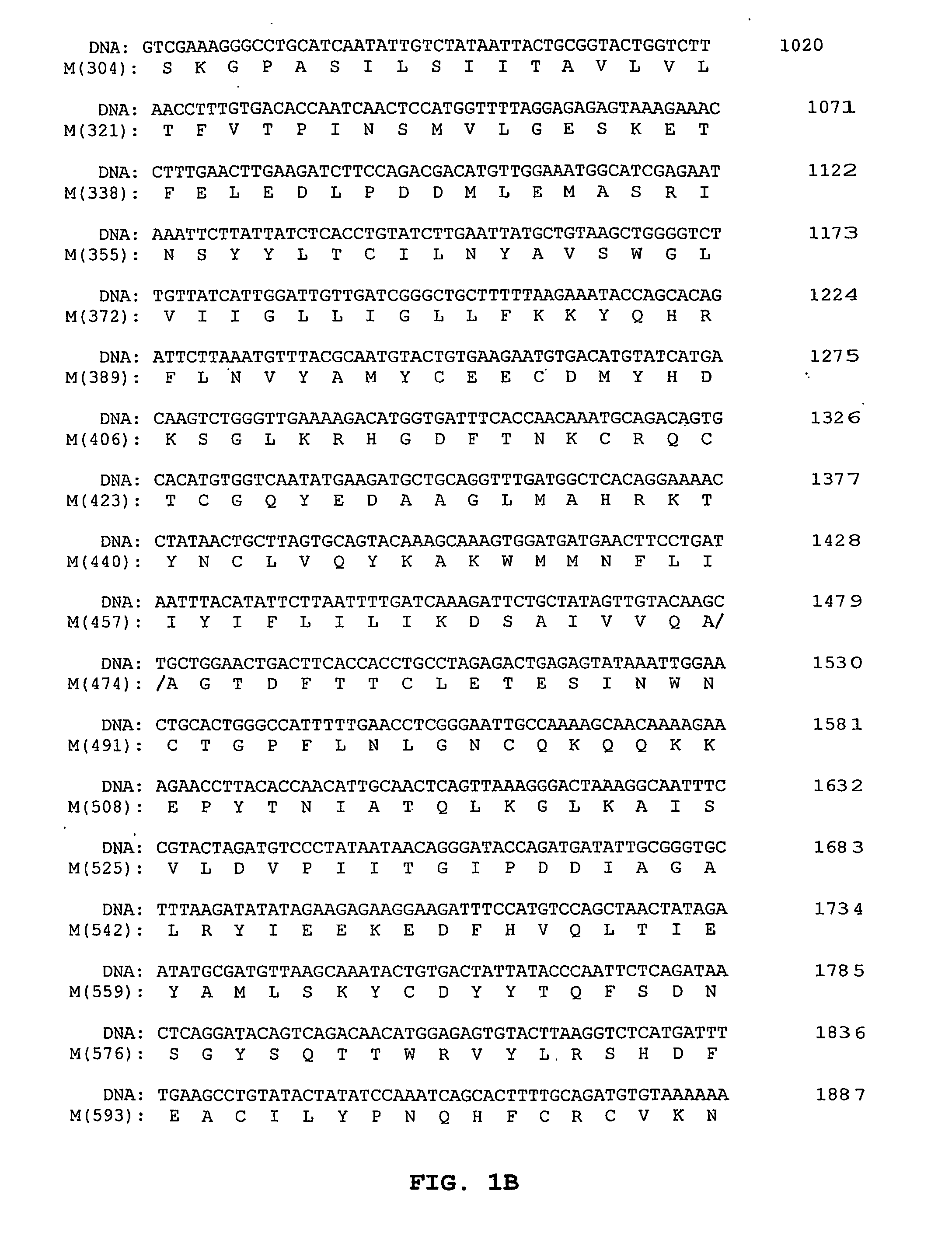 Methods and reagents for treating, preventing and diagnosing bunyavirus infection