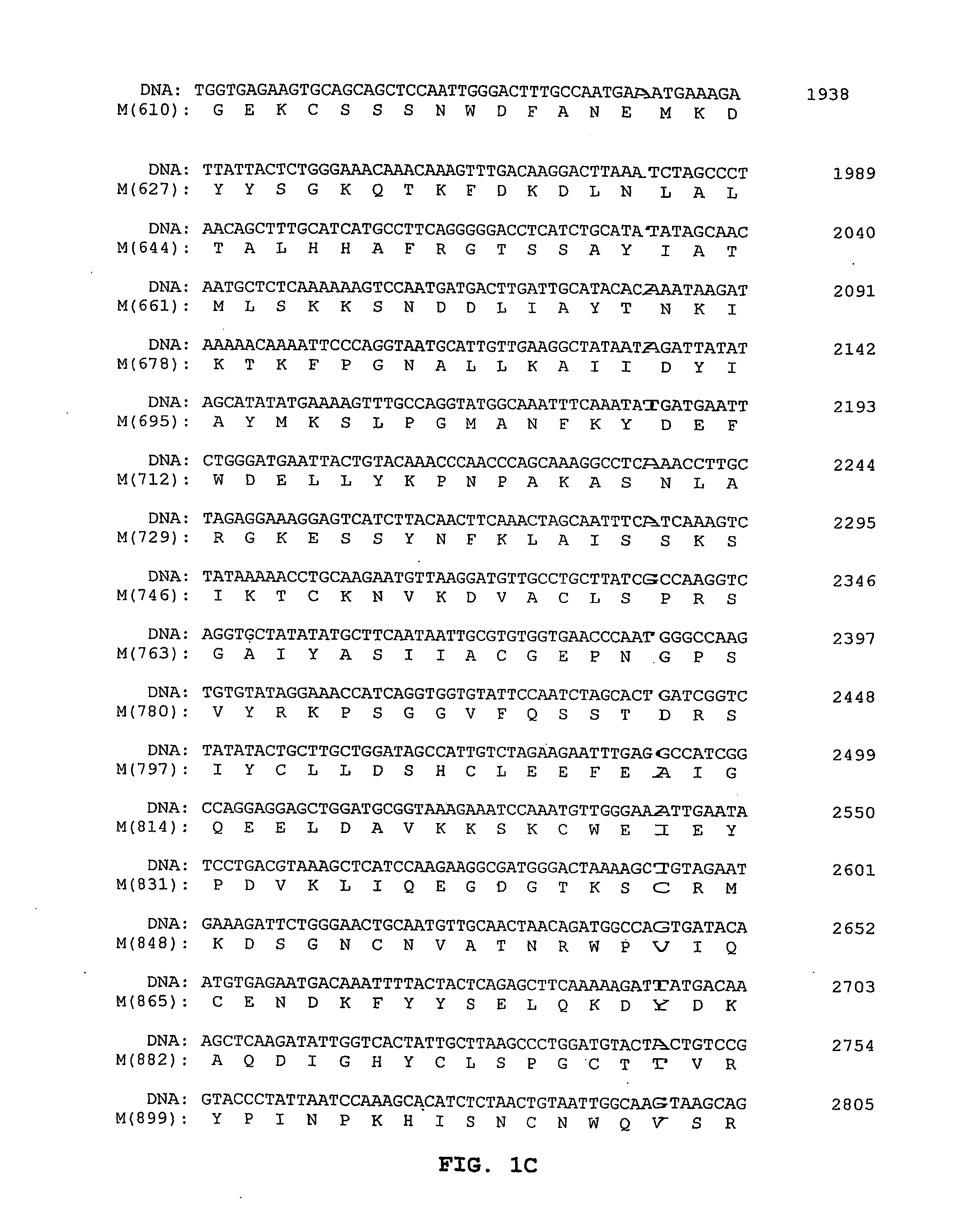 Methods and reagents for treating, preventing and diagnosing bunyavirus infection