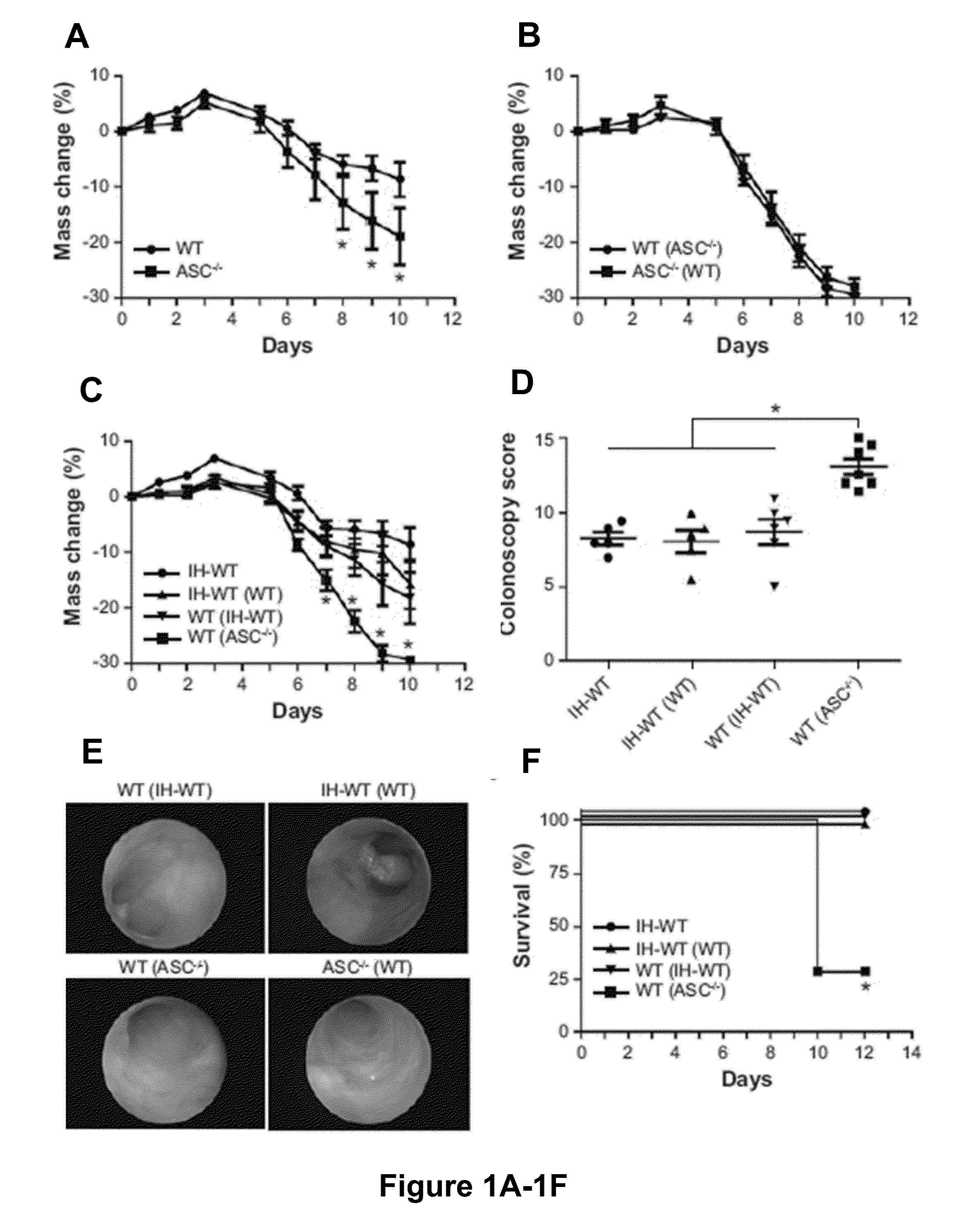 Compositions and Methods for Assessing and Treating Inflammatory Diseases and Disorders