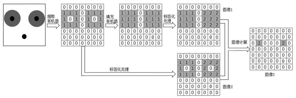 Shale organic matter pore connectivity classification characterization method