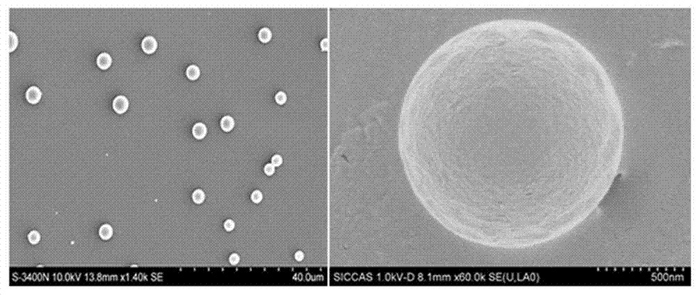 Multipurpose contrast agent applied to ultrasonography/magnetic resonance imaging (US/MRI) guidance synergistic high-intensity focused ultrasound ablation and preparation method for multipurpose contrast agent