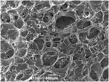 Biological repair membrane and preparation method thereof