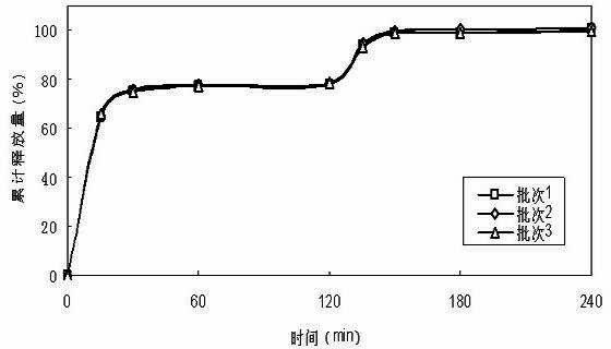 Doxycycline hydrochloride dual-release preparation and preparation method thereof