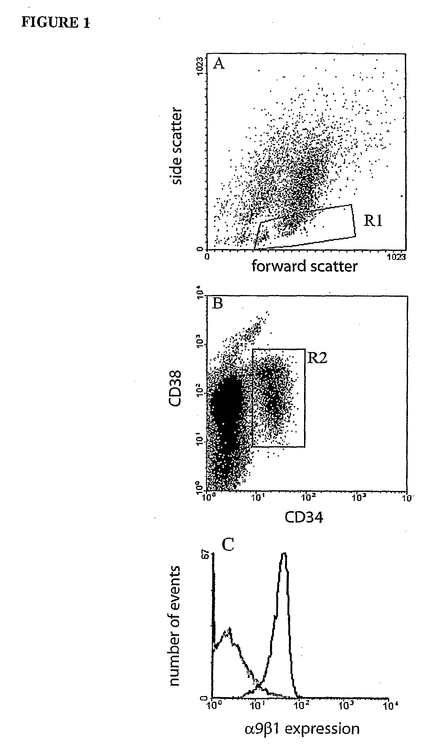 Selecting, culturing and creating lineage committed hematopoietic stem cells