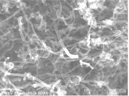 Carbon nano tube and carbon black composite dispersing liquid and preparation method thereof