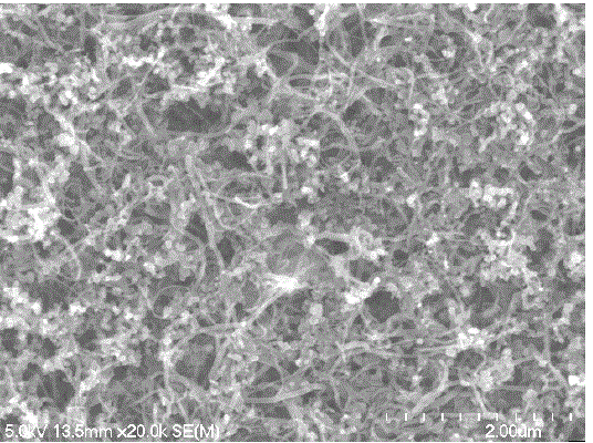 Carbon nano tube and carbon black composite dispersing liquid and preparation method thereof