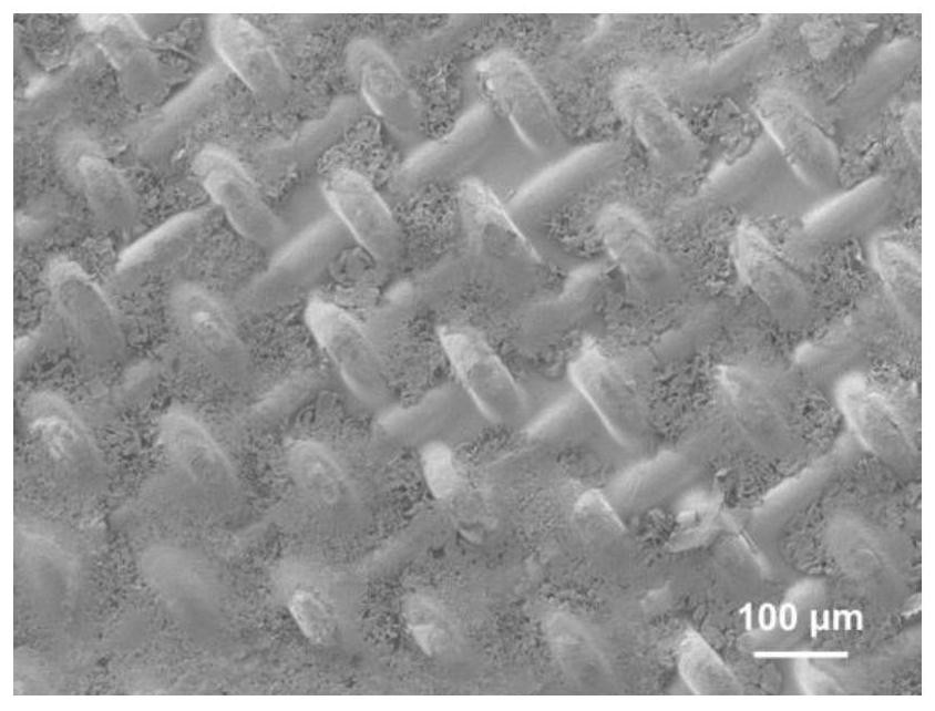 A composite metal lithium negative electrode with filler and preparation method thereof