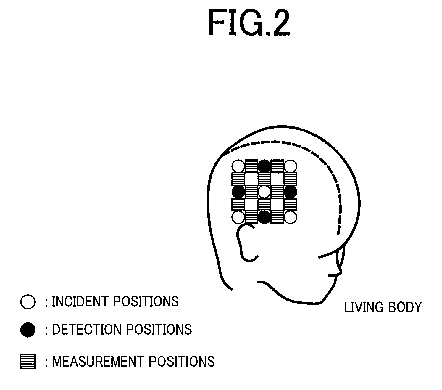 Optical system for measuring metabolism in a body, method and program